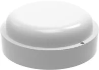 Настенно-потолочный светильник Gauss 126418208 Eco