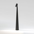 Настольный светильник Elektrostandard TL70250 Elite a068070