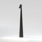 Настольный светильник Elektrostandard TL70250 Elite a068070