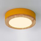 Потолочная Люстра Wudda D30 Желтый ImperiumLoft 179763-26