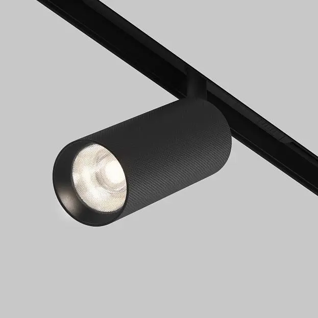 Трековый светильник Technical Maytoni TR097-2-12W4K-M-BB Artisan Трековый светильник Technical Maytoni TR097-2-12W4K-M-BB Artisan