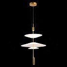 Люстра подвесная ST LUCE SL6101.213.01 Isola