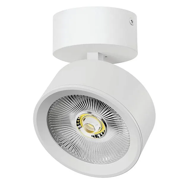 Светильник накладной LED Lightstar A5636SO ALTA PRO