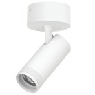 Светильник накладной LED Lightstar C4206SO CANNO PRO