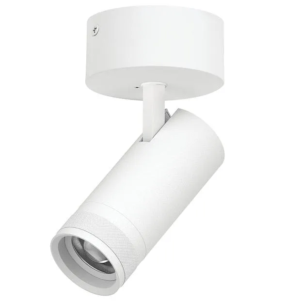 Светильник накладной LED Lightstar C4206SO CANNO PRO