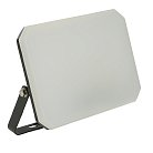Светодиодный прожектор IP65 50W 6400K Feron 51045 LL-942