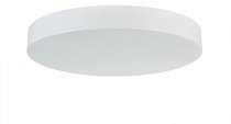 Потолочный светильник Donolux C111052WN100W PLATO