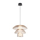Подвесной светильник Freya FR5545PL-L5BG Harper