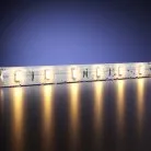 Светодиодная лента Led Strip Maytoni 201012