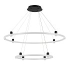 Подвес с питанием Arlight 050016 APRIORI