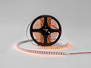 Светодиодная лента SWG SWG3120 SWG3120-12-9.6-Y-M