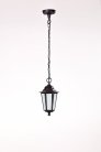 Уличный светильник подвесной Oasis Light 79805S Bl