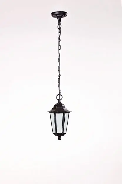 Уличный светильник подвесной Oasis Light 79805S Bl
