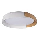 Потолочный светильник Loft IT 10198 White Coin