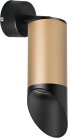 Спот Lightstar RB44037 Rullo