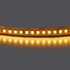 Лента теплого белого свечения 24V Lightstar 421003
