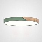 Потолочный Светильник Green D50 ImperiumLoft 193050-26 Clip01