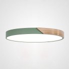 Потолочный Светильник Green D50 ImperiumLoft 193050-26 Clip01