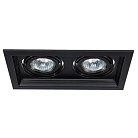 Встраиваемый светильник Arte Lamp A6661PL-2BK Canis