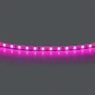 Лента цветного свечения 24V, розовый Lightstar 420512