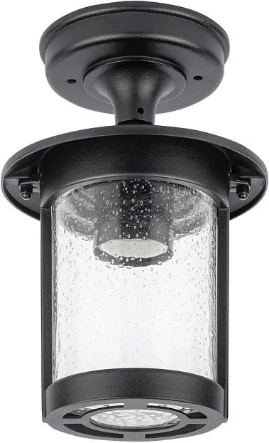Потолочный светильник уличный Oasis Light 18205A Bl CORDOBA Потолочный светильник уличный Oasis Light 18205A Bl CORDOBA