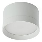 Светильник потолочный Feron 48299 HL370