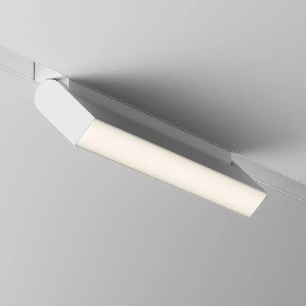 Трековый светильник Maytoni TR075-2-20W3K-W Basis Rot