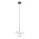 Подвесной светильник Loft IT 10213/B White Monro
