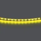 Лента цветного свечения 24V, лимонный Lightstar 420519