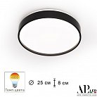 Потолочный светильник APL LED 3315.XM302-1-267/12W/4K Black TD Toscana