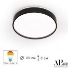 Потолочный светильник APL LED 3315.XM302-1-267/12W/4K Black TD Toscana