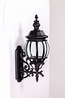 Настенный фонарь уличный Oasis Light 83401L/06 BL AMERICA L