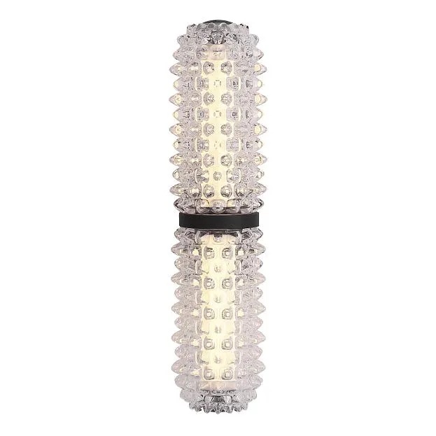 Светильник настенный ST-Luce SL6144.401.01 SAGUARO