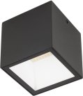 Потолочный светильник уличный Oasis Light W3891-3K Bl  tube LED