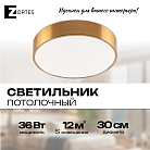 Потолочный светильник Zortes ZRS.02566.36 TORTTY