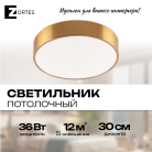 Потолочный светильник Zortes ZRS.02566.36 TORTTY