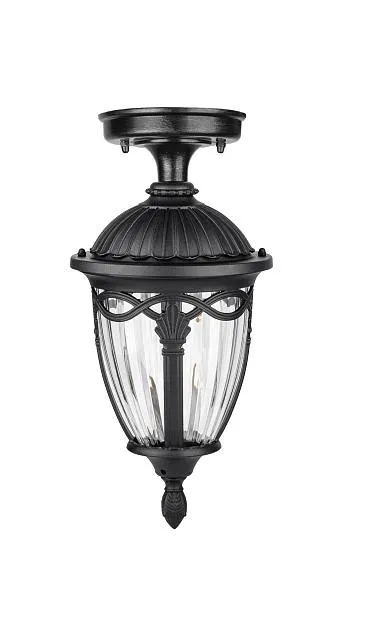 Потолочный светильник уличный Oasis Light 86305A Bl FES