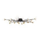 Потолочная люстра Freya FR5242CL-24B Celebrity