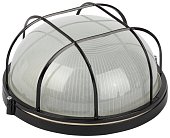 Настенно-потолочный светильник ЭРА НБП 03-100-002 черный