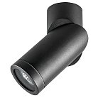 Спот Lightstar 51017 Illumo F