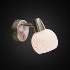 Светильник-спот настенно-потолочный Citilux CL520511 Соната