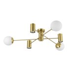 Потолочный светильник Evoluce SLE1105-302-06 RAITO