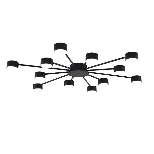 Потолочная люстра Lumion 8344/12C TORINA Потолочная люстра Lumion 8344/12C TORINA