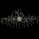 Бра Loft IT 10067/6W SG Bijout