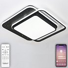 Накладной светильник Natali Kovaltseva INNOVATION STYLE 83115