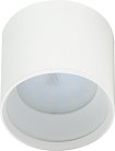 Точечный светильник ЭРА OL8 GX53 WH