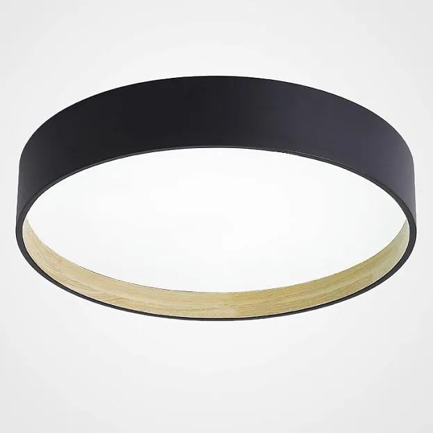 Потолочный светильник NETTY D50 Black ImperiumLoft 224022-23 netty01