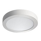 Потолочный светильник Kanlux 28949 CARSA V2LED