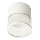 Светильник потолочный Feron 48750 HL454