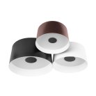 Потолочный светильник Loft IT 10360/3 Duo